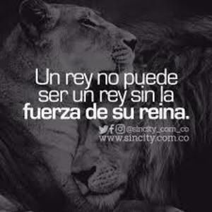 Meet your Posher, Luis